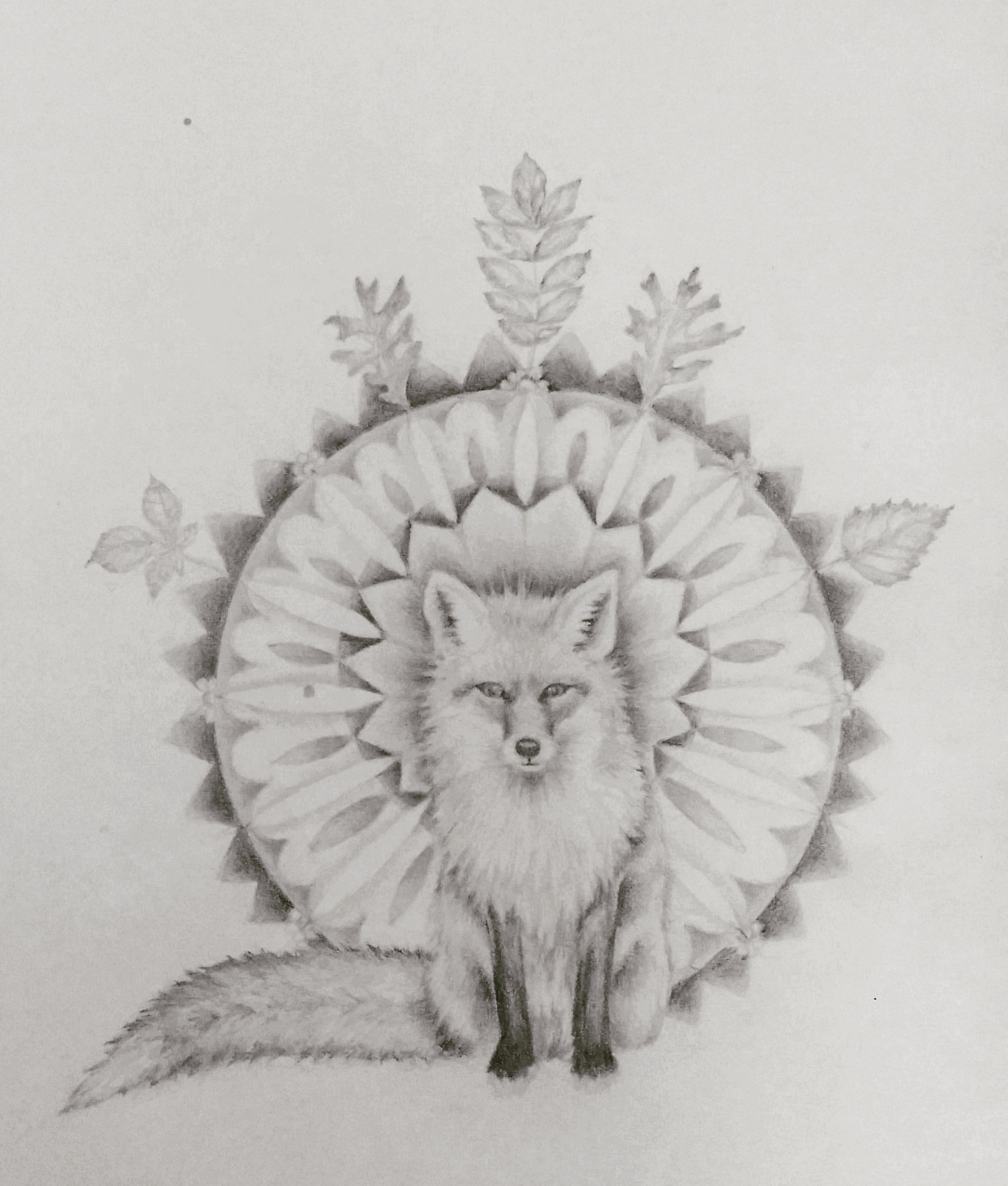 Graphite drawing for little flora